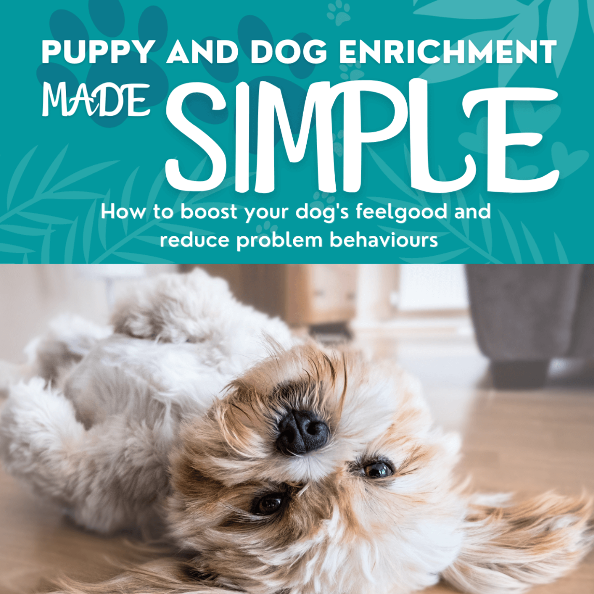 Enrichment for dogs made simple  Final 9 MARCH 2023 1 2png