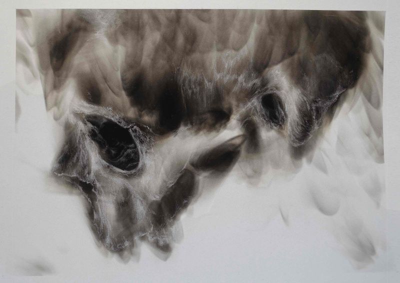 Noir de carbone sur papier 50 x 35 cm
