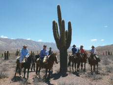 Voyage à cheval en Argentine dans la Cordillère des Andes