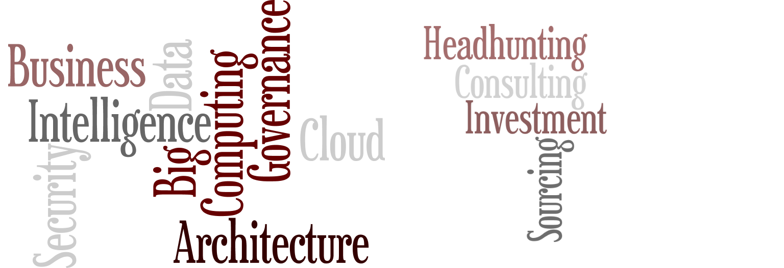 Data, Business Intelligence, Cloud, Security, Governance, Consulting, Headhunting, Investment, Sourcing