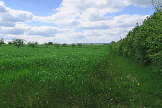 sites de rencontres vosges