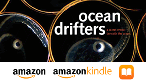 Plankton Richard Kirby Ocean Drifters