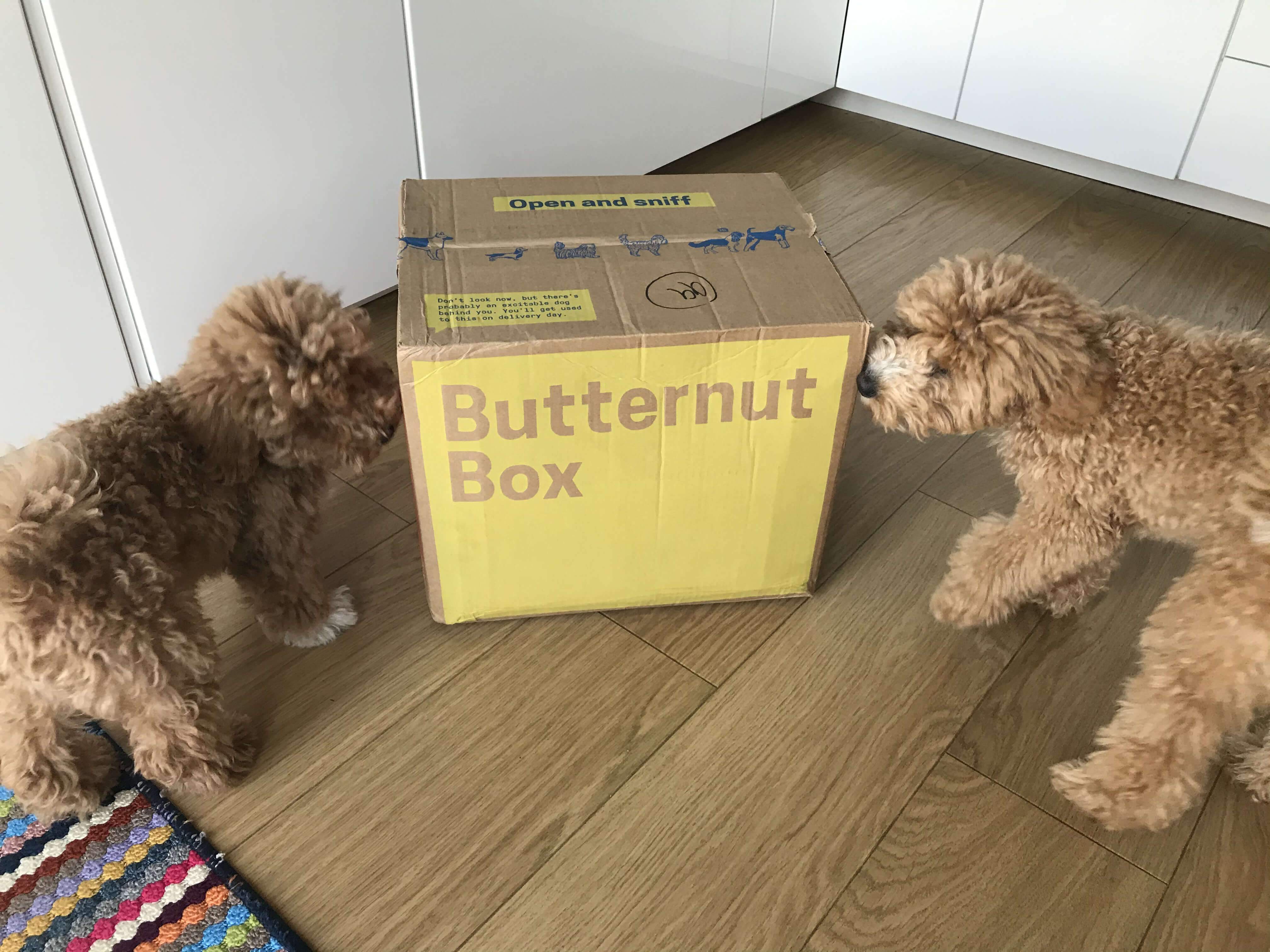 Two dogs and a box of dog food