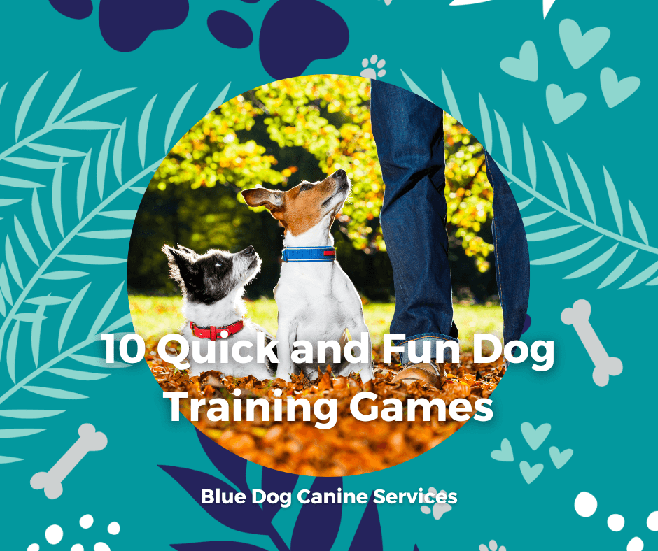 The Blue Dog Blog graphics 7 1png