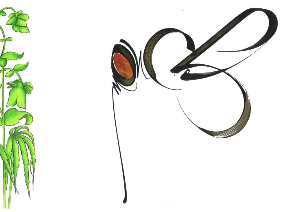 la calligraphie des lettres "m,o,u,c,h,e" crée la silhouette d'une mouche vue de profil