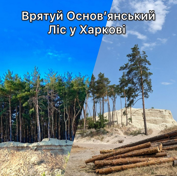 Foret Kharkov 2png