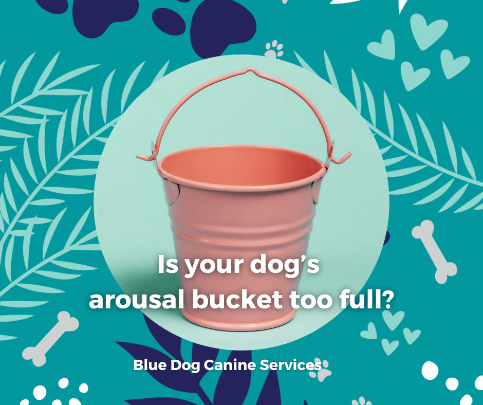 The Blue Dog Blog graphics  61png