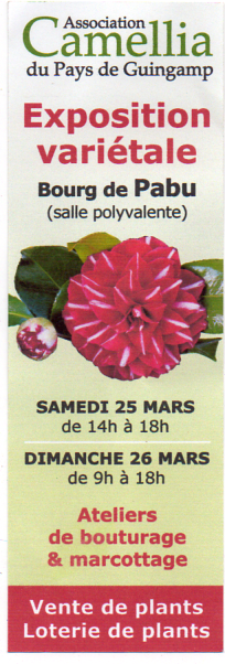 Expo_camellia_flyer20230208_14413881_000036png