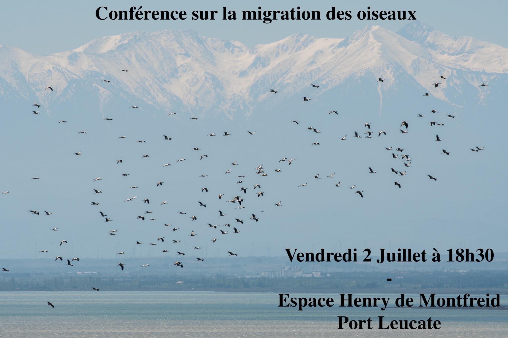 conference migrationjpg