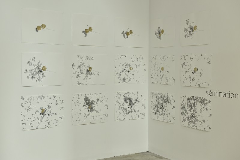 installation de 15 dessins de 56 x 76 cm | photo: Hervé Hôte