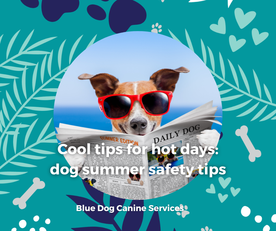 The Blue Dog Blog graphics  38png