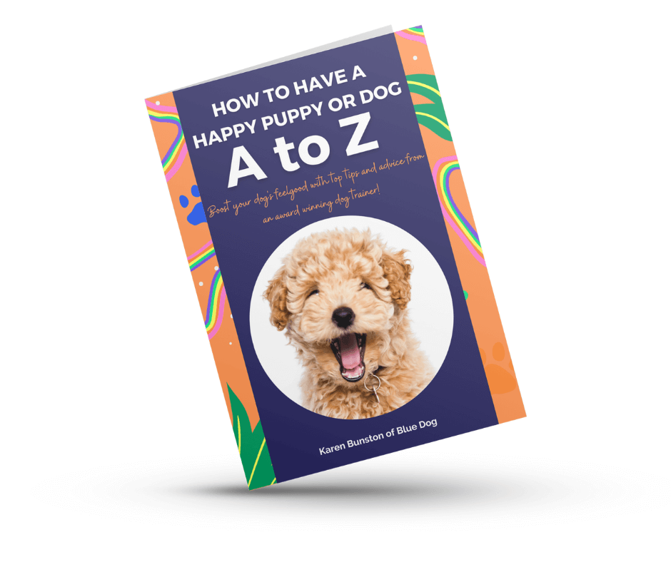 Have a happy dog a to z pic 1png