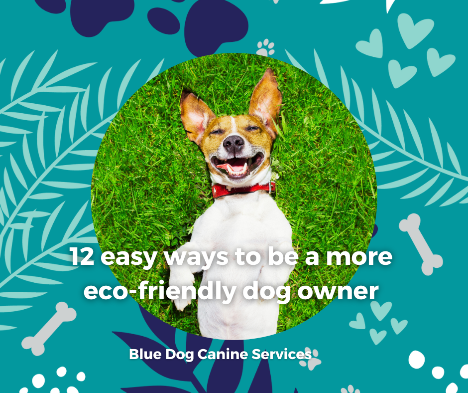 The Blue Dog Blog graphics  57png