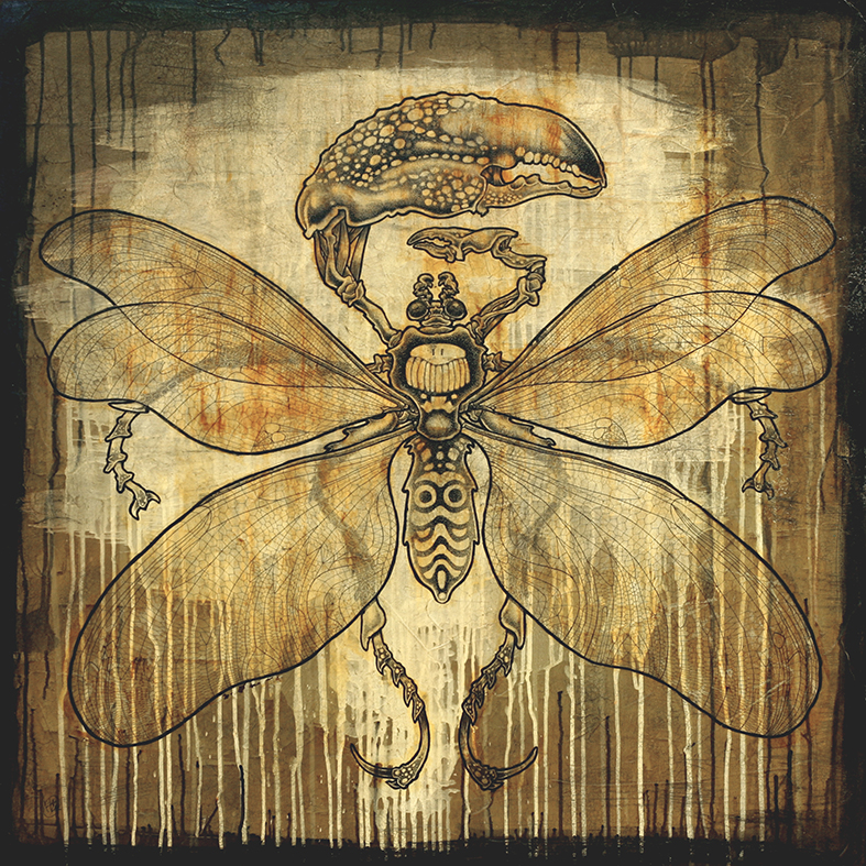 Insectoïd 01 : DragonFly