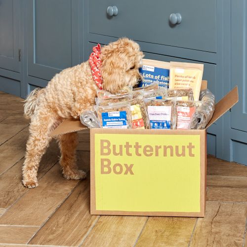 A dog with a box of butternut box dog food
