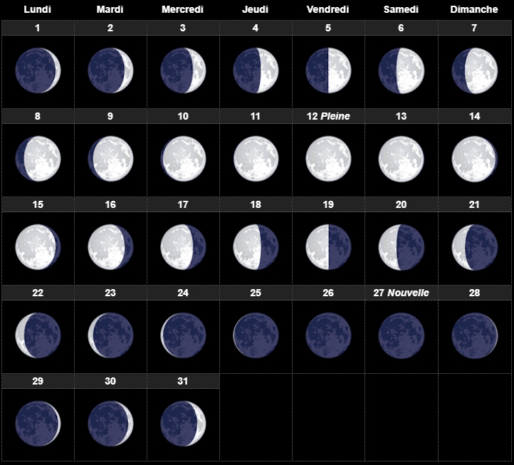 Calendrier Lunaire Pour Les Cheveux 2023 Où Trouver Le Meilleur Coiffeur Pour Cheveux Bouclés, Frisés, Crépus Dans  Le 78?