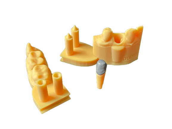 Modèles dentaires impression 3D