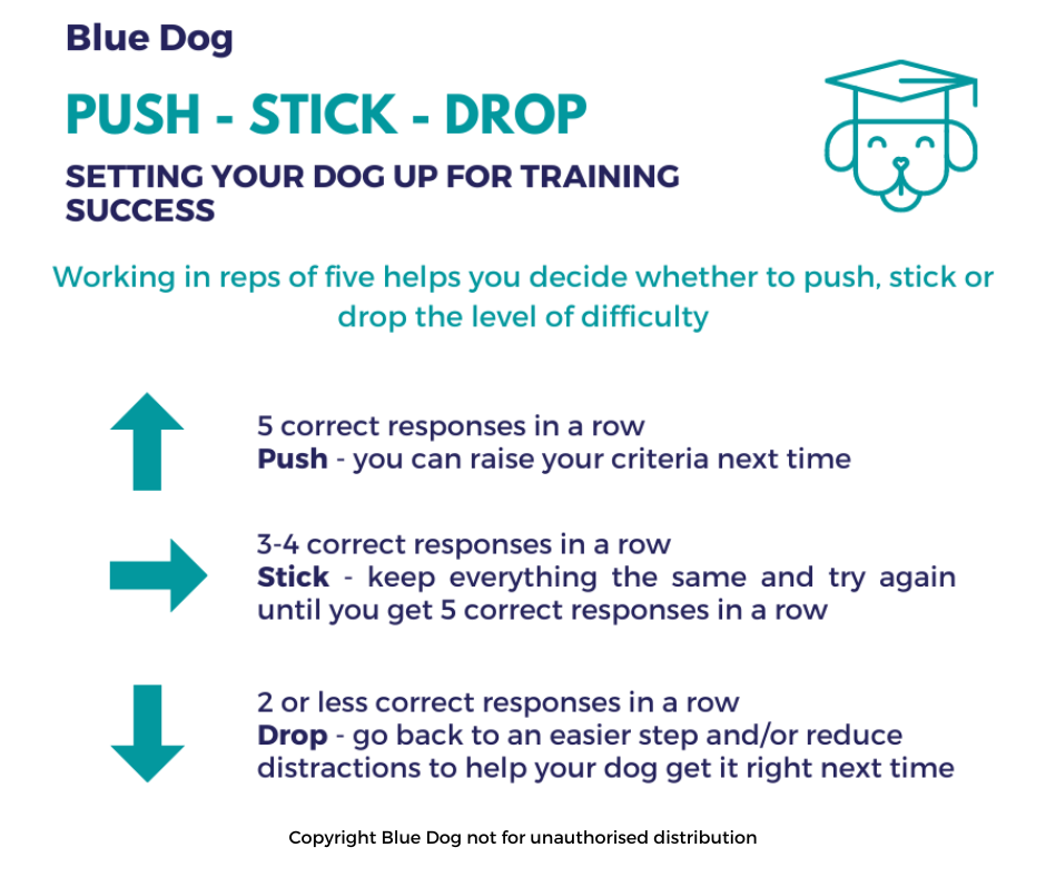 Blue Dog Training Tracker Final 21 Dec 22 Facebook Post 1png