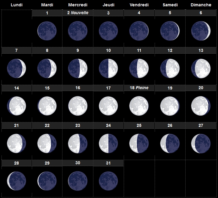 Calendrier Lunaire Et Coupe De Cheveux