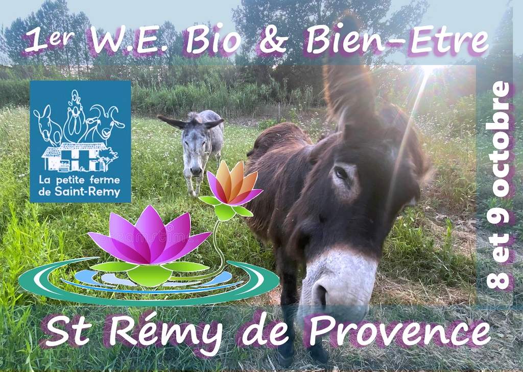 WE Bio et Bien-Être à Saint-Rémy-de-Provence