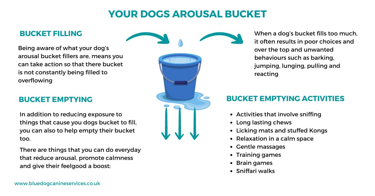 A4 Bucket Filling Facebook Postjpg