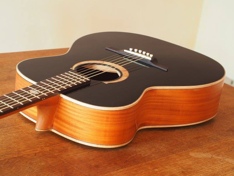 dimarzio dp 261