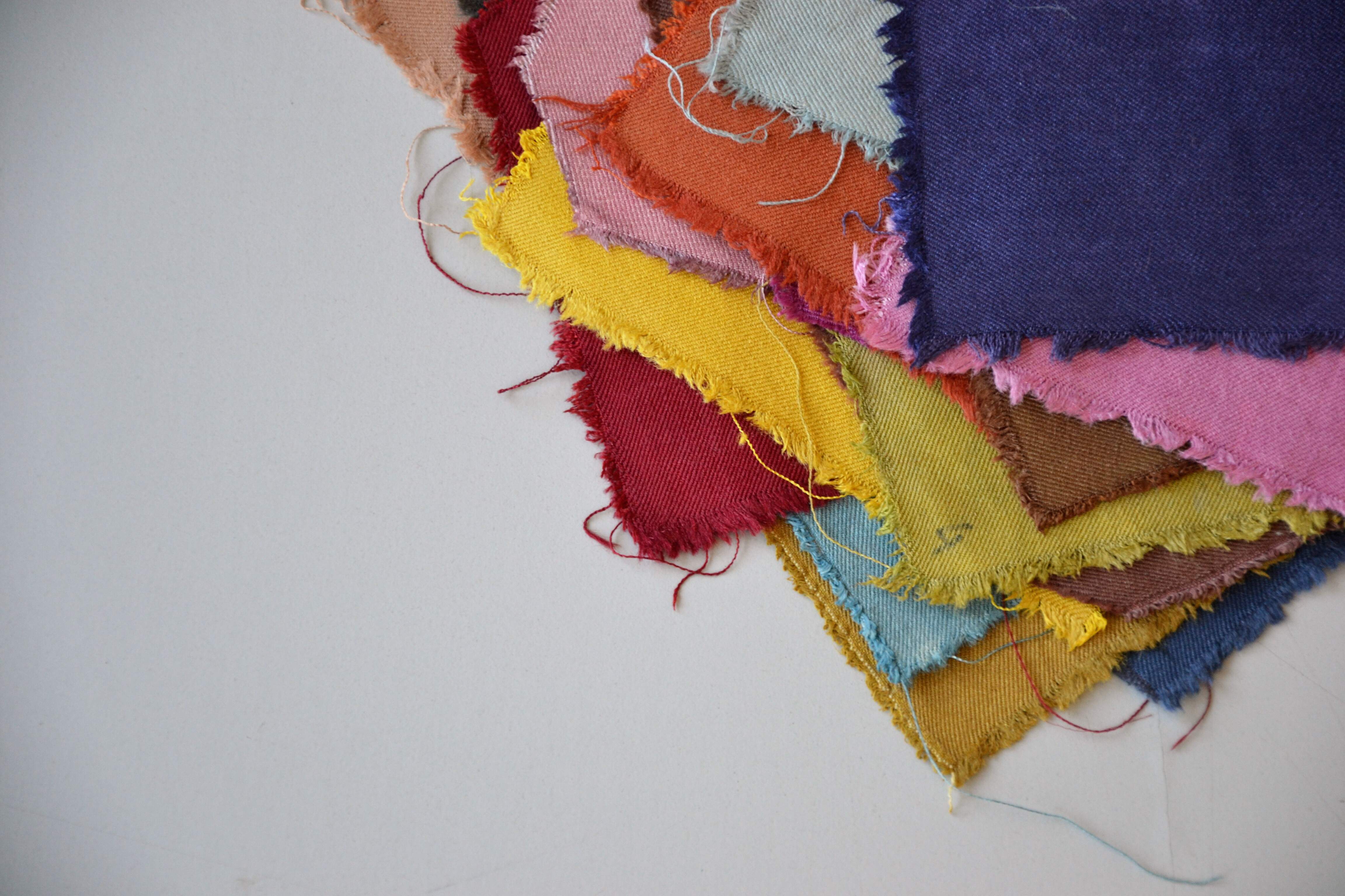 Samples of naturally dyed wool. (Logwood, cochineal, indigo, brazilwood, madder, fustic chips)