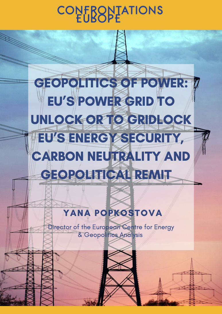 Yana Popkostova EU Power Grid