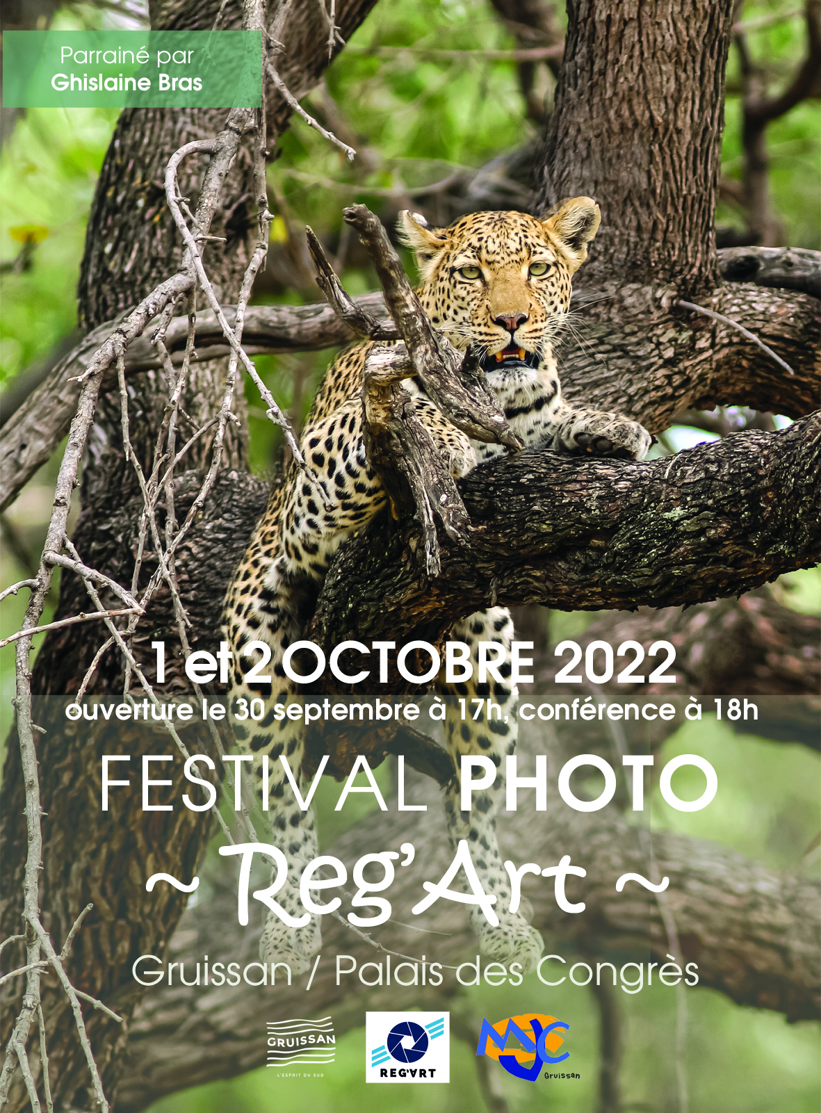Affiche festival photo webjpg