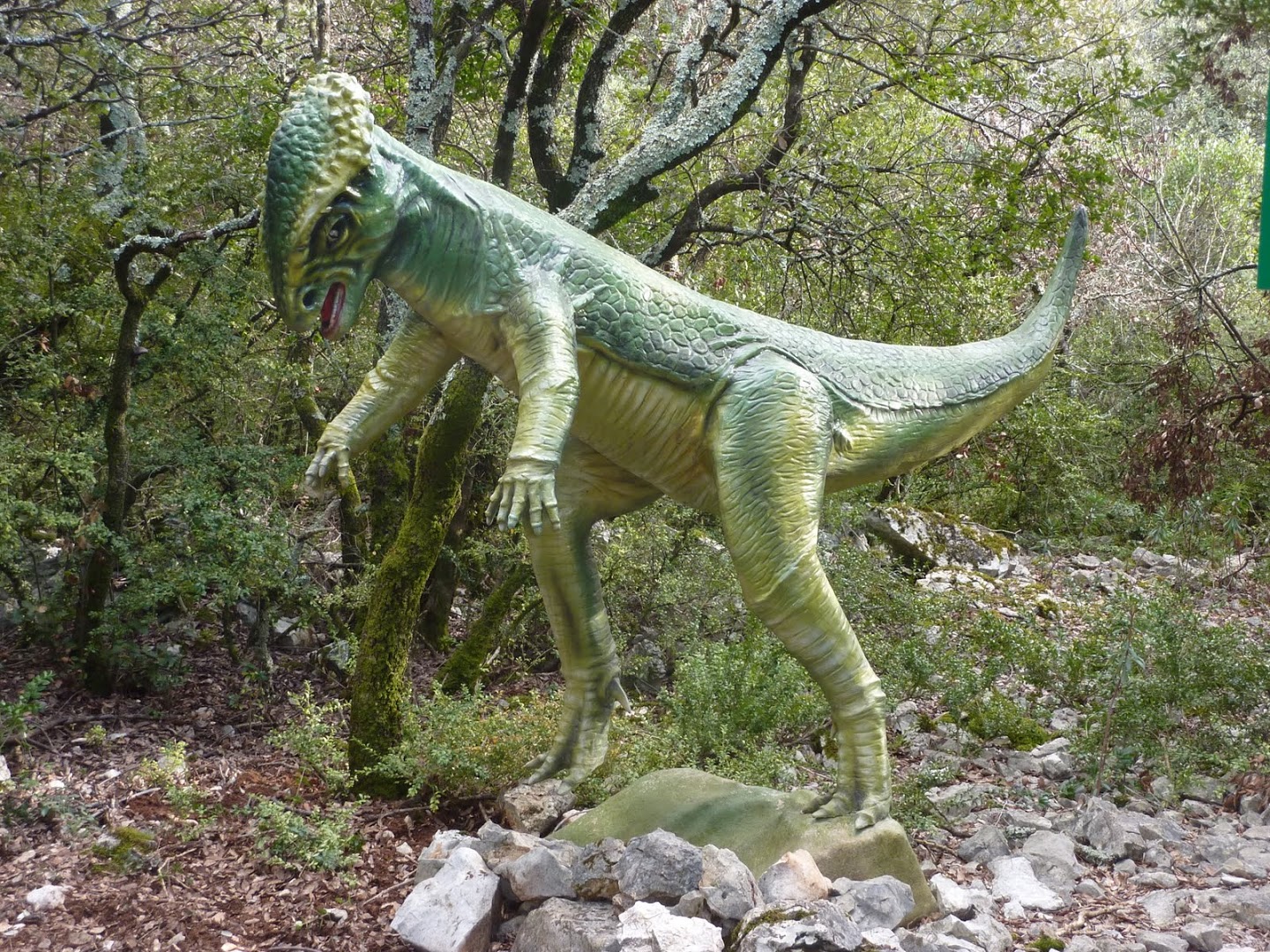 Stegoceras - Parc à dinosaures - Aven Marzal - Ardèche sud