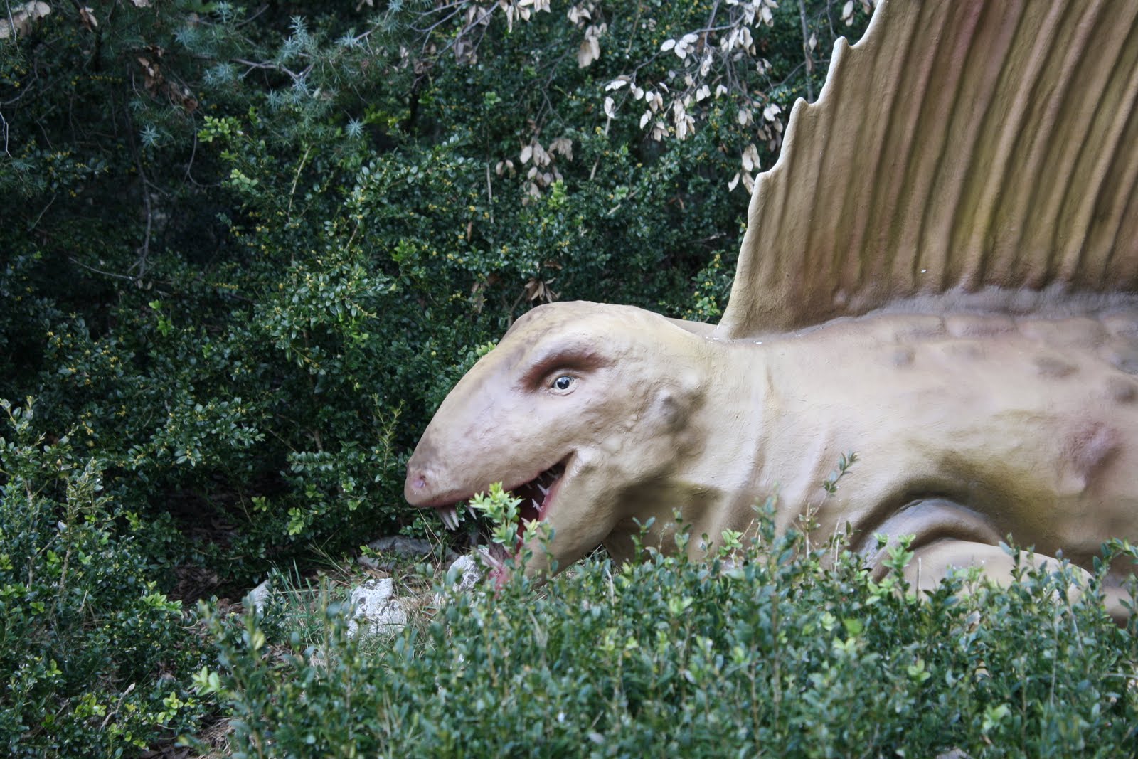 Dimetrodon - Parc à dinosaures - Aven Marzal - Ardèche sud