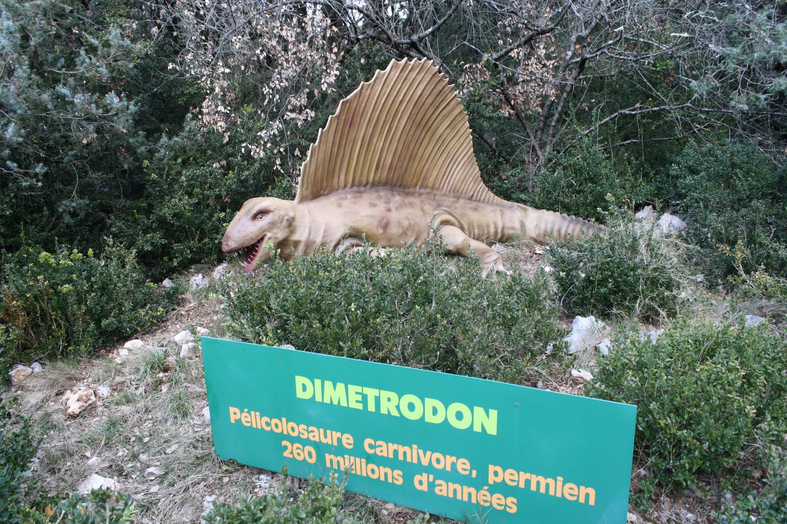Dimetrodon - Parc à dinosaures - Aven Marzal - Ardèche sud