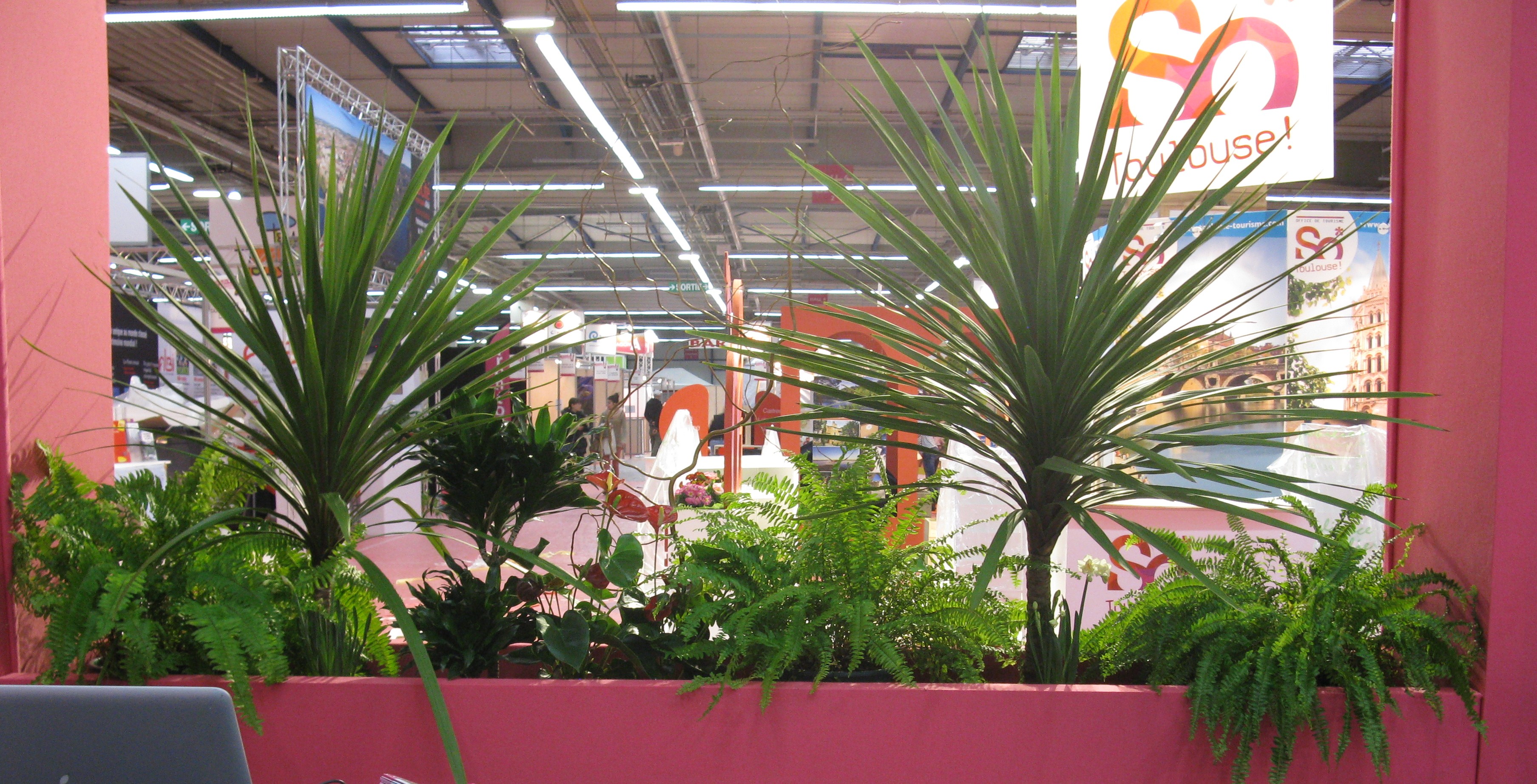 Accueil salon - jardinière existante avec plantes